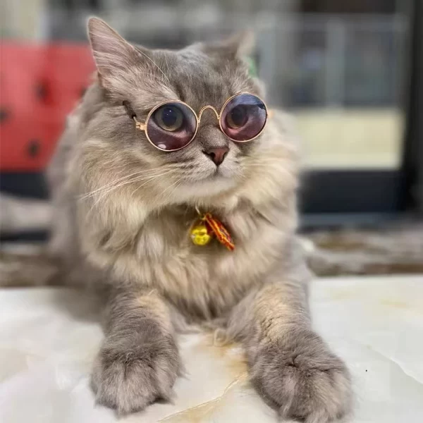 Óculos de sol para cachorro e gato. Produto adorável para animais de estimação, vintage, redondo, reflexivo - Imagem 2