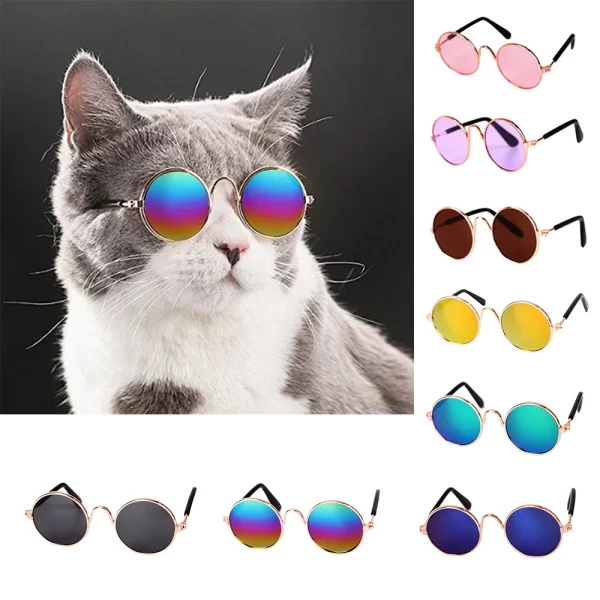 Óculos coloridos para gatos de diversas cores. - Imagem 4