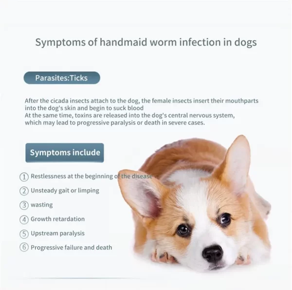 Coleira extensível antipulgas e carrapatos para animais de estimação. - Imagem 3