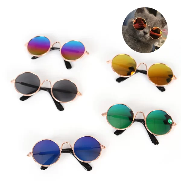 Óculos coloridos para gatos de diversas cores. - Imagem 6
